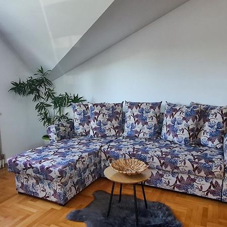 Dina Cozy Apartment Zemun Экстерьер фото