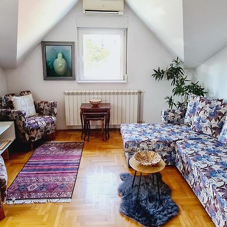 Dina Cozy Apartment Zemun Экстерьер фото